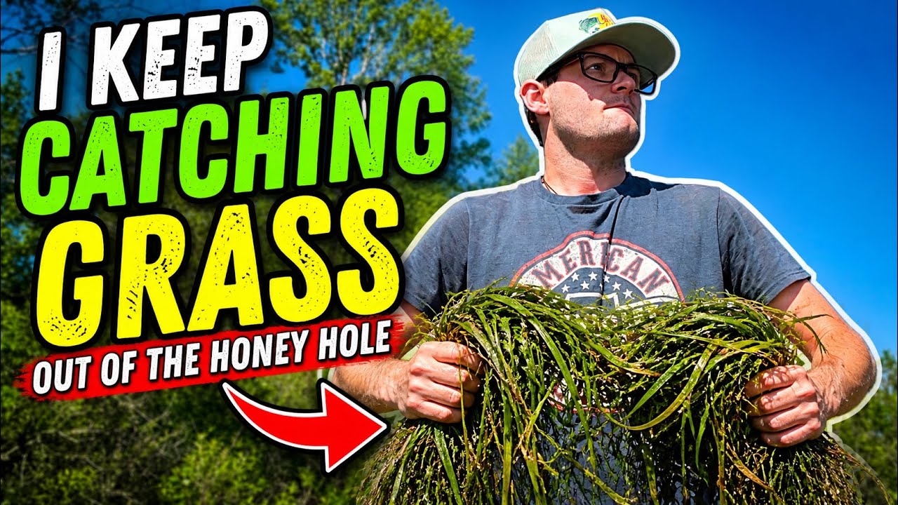 Catching Bush I am a TRUE PROFESSIONAL at CATCHING GRASS!! - YouTube