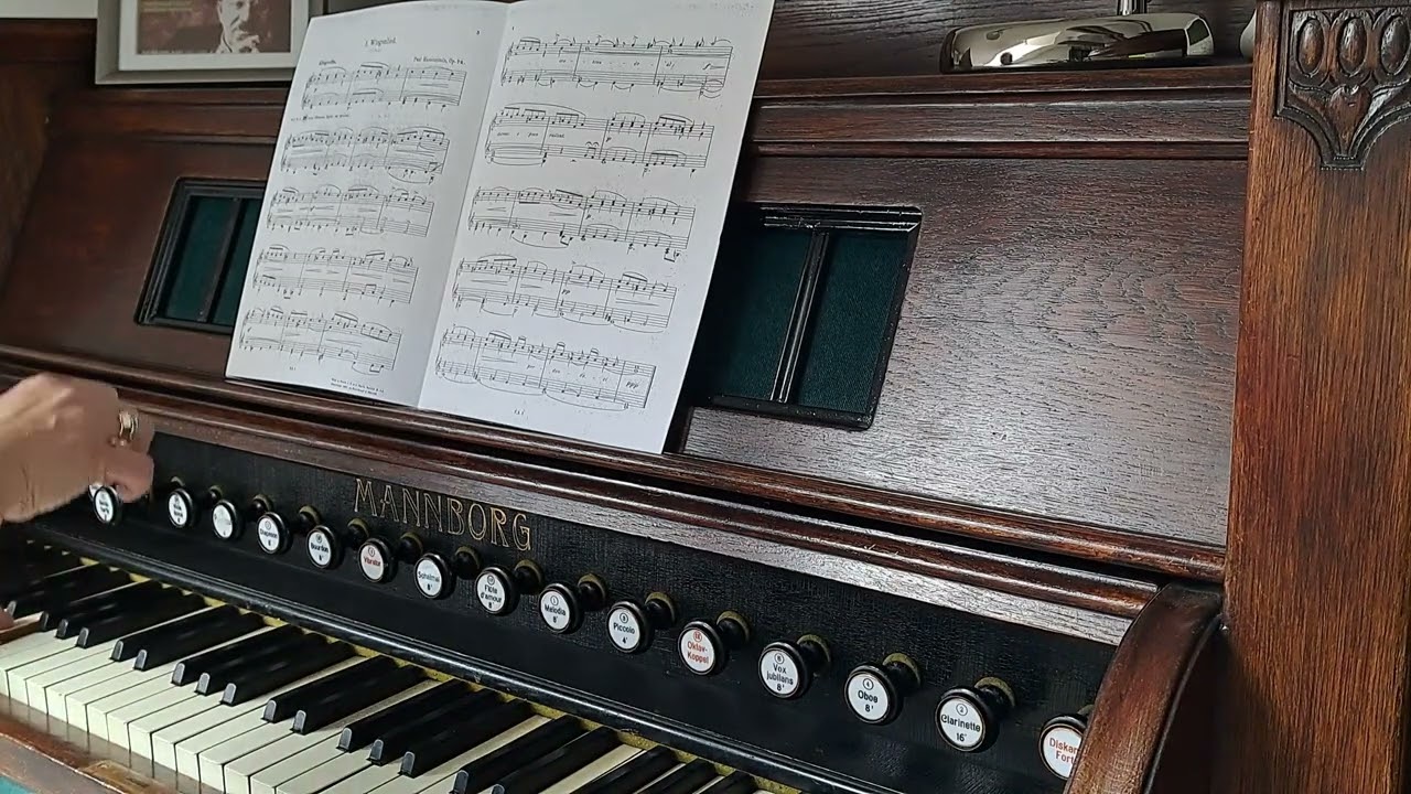 Paul Hassenstein - " Wiegenlied" from Drei Stimmungsbilder Op.72, played on Mannborg Harmonium.