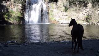 Miniatura del video "Gli occhi di Tiburzi"