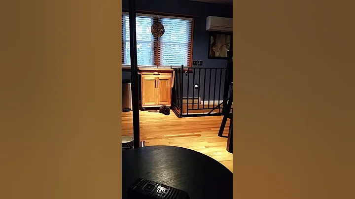 Margaret stalks Lenore