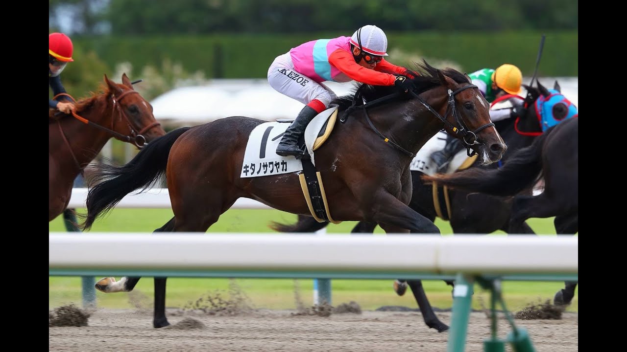 20240915_競馬ﾚｰｽﾄﾋﾟｯｸ 04【WIN51億立役者1】'24納屋橋S T1800 16下 ペイシャフラワー - YouTube