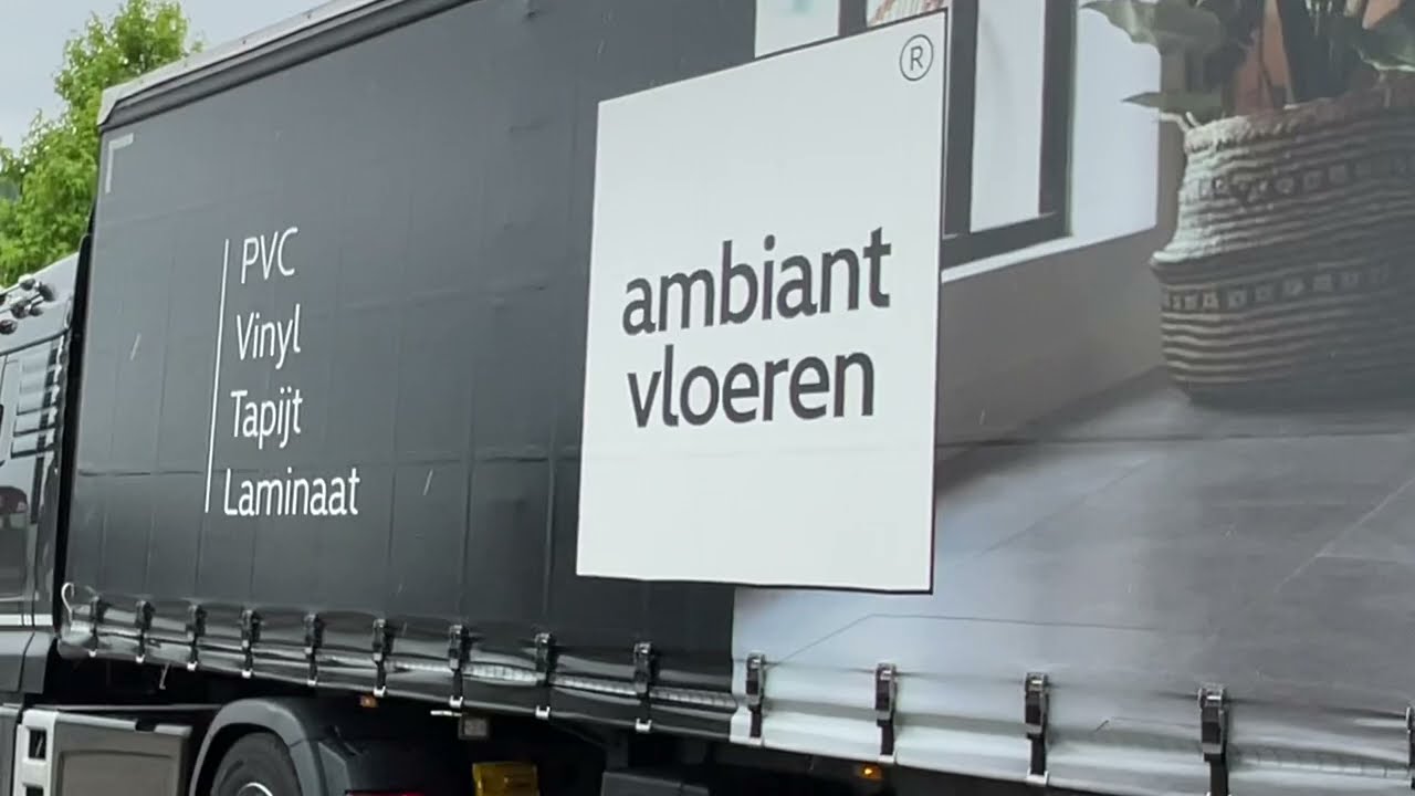 Floer Walvisgraat Cetus | Easy stuc | poster | kleur