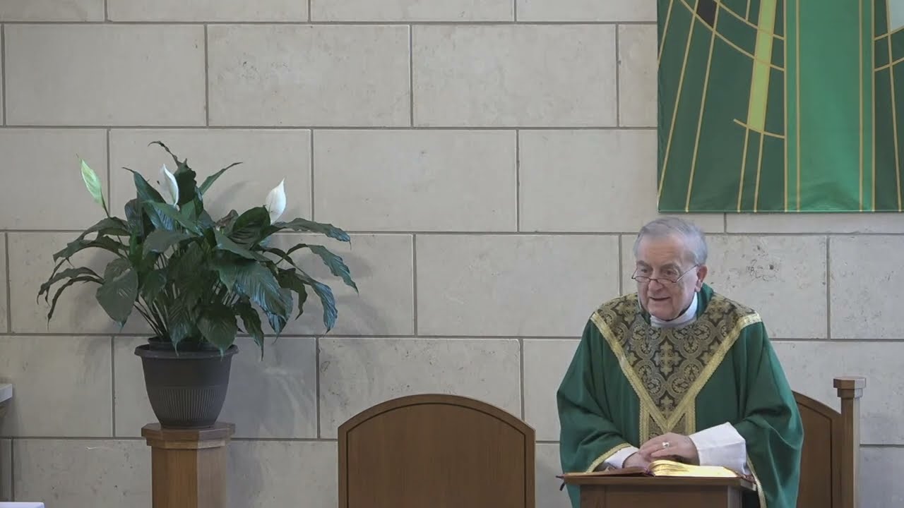 Четверг, 15-я неделя ОТ, католическая церковь Святого Винсента де Поля, Хьюстон, Техас, месса в 1...