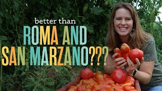 3 NEW Canning Tomatoes that are Better than San Marzano, Roma, and Amish Paste