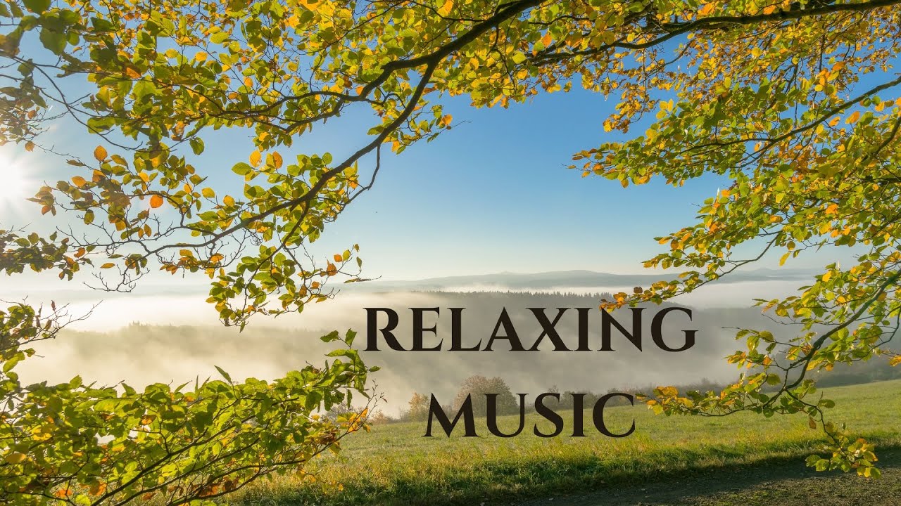 1 Hour Of Relaxing Music For Ultimate Stress Relief And Calmness 1小时轻音乐 ...