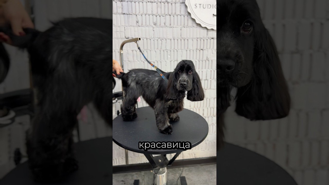 Преображение из юной леди в раскошную даму ☺️ 