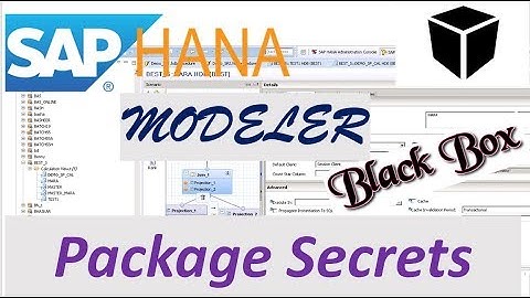 Package Secrets - SAP HANA Modeler | SAP HANA Black Box