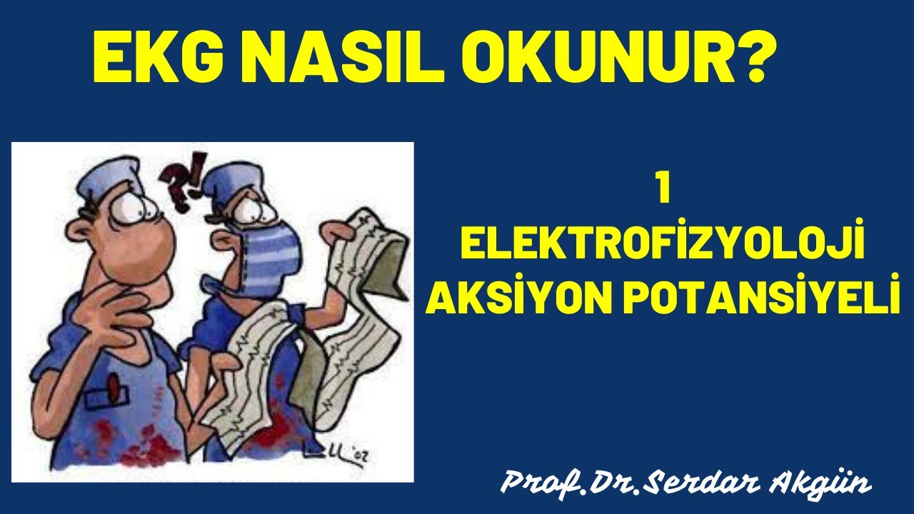 EKG Nasıl okur?, 1 Elektrofizyoloji, Aksiyon Potansiyeli,  Serdar Akgün Tıp Videoları