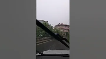 Pemet Thyhen Nga Era E Forte Alborginltv Albaniancapital 