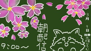 【朝配信】サイズ感バグった桜と文字とひろむ