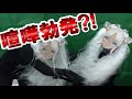 【工作】つくって！轟京子ちゃん！【にじさんじ/轟京子】