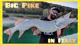 Pike fishing on the lake Santa Croce in Italy by Yuri Grisendi by Catfish World by Yuri Grisendi 26,099 views 1 month ago 13 minutes, 27 seconds