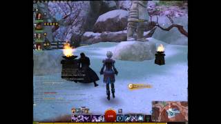 GW2 Shenanigans