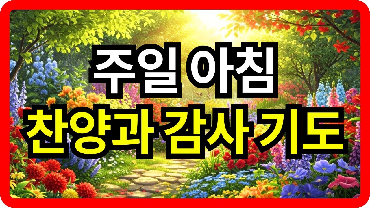 주님의 은혜로 맞이하는 주일 아침 감사 기도ㅣ주일 새벽 기도ㅣ하루를 여는 주일 기도ㅣ주님의 날 감사와 찬양ㅣ주일 아침 예배 기도ㅣ주일 시작 기도ㅣ은혜의 주일 아침