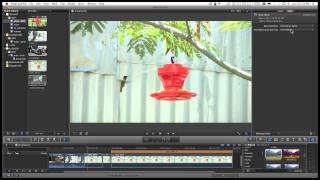 Final Cut Pro X (FCPX) and built in Deinterlacing - where to find it