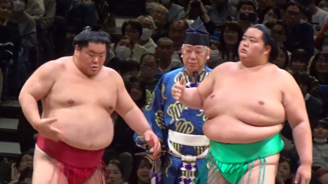 大相撲 サイン9枚【豊昇龍 大の里 琴櫻 若元春 平戸海 豪
