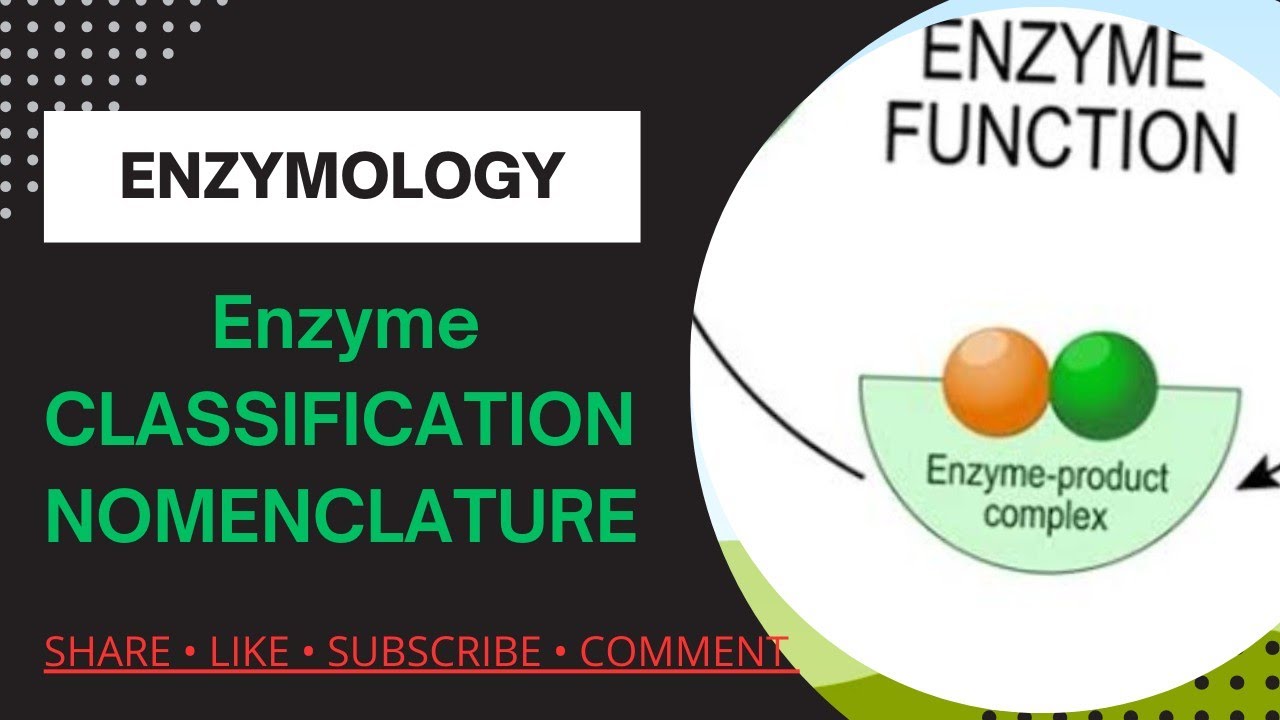Enzyme nomenclatue and classification / Lect 1 #biochemistry #biology