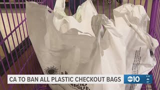 California bans all plastic bags starting 2026 under new state law