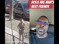 No Matter How Dangerous, Dogs Remain Man’s Most Loyal Friend