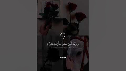 تتجافى جنوبهم عن المضاجع قرآن كريم عبد الرحمن مسعد #قران #مصر #السعودية #لبنان #العراق