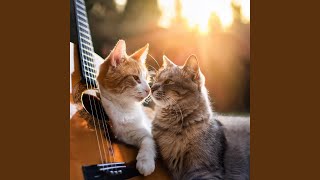 Gentle Guitar Chords