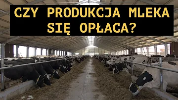 Co je napěňovač mléka?