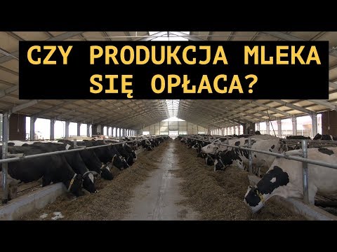 Wideo: 9 Odmian Mleka Dostępnych Na Rynku