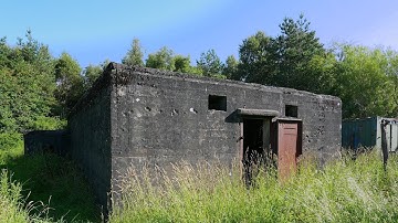 Ontdek een geheime bunker uit de Tweede Wereldoorlog in het bos!