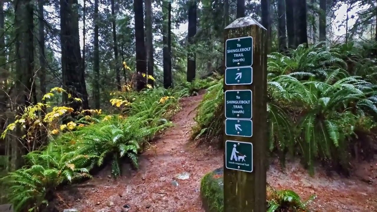 Cleveland Park/Cleveland Dam, North Vancouver, BC
