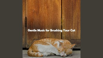 Smoky Ambiance for Open Work Space