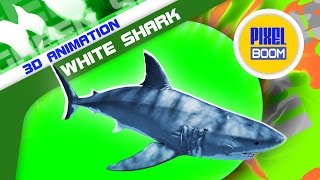 Green Screen White Shark Swim Fast Attack - Pixelboom