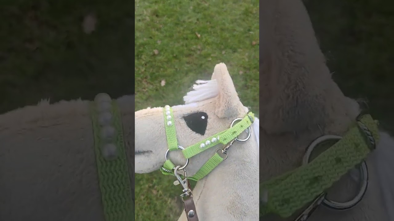 Vlog z treningu na soli💋