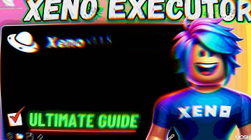 How to Use Xeno Executor Accurately (2025 Updated Guide)