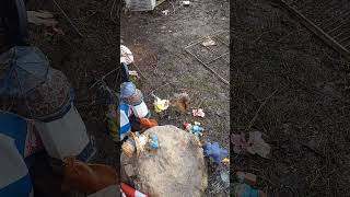 #creatorsjourney #memoriesmade #squirrel #campfire #camplife #smile #novascotia