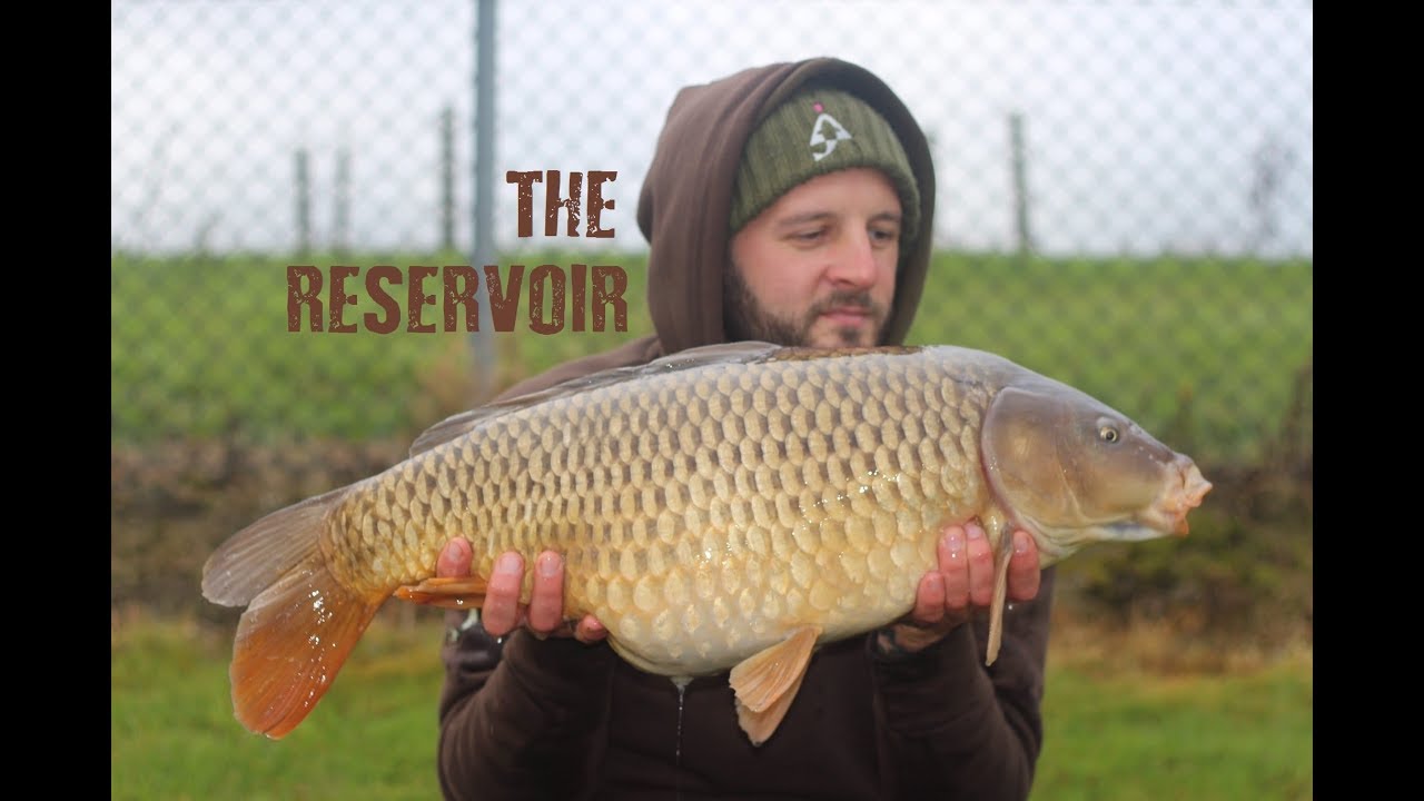 The Reservoir Carp Fishing November 2017 YouTube