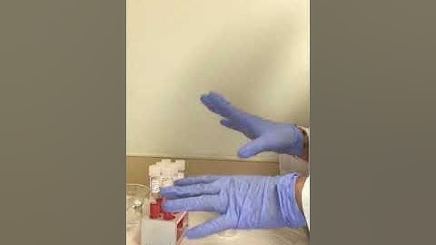 J Sanchez, Bio 225, Week 5, Carbohydrate Fermentation Testing ~ Part 1