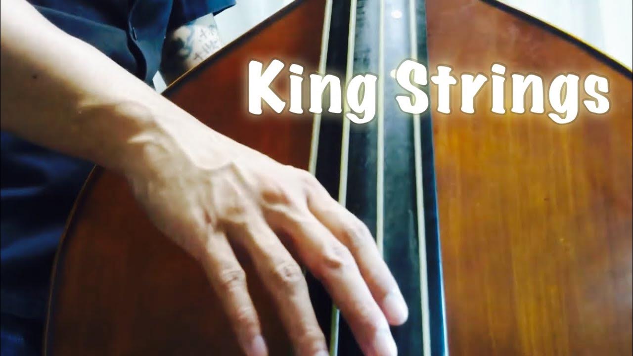 King Strings (Upright bass Gut strings) YouTube