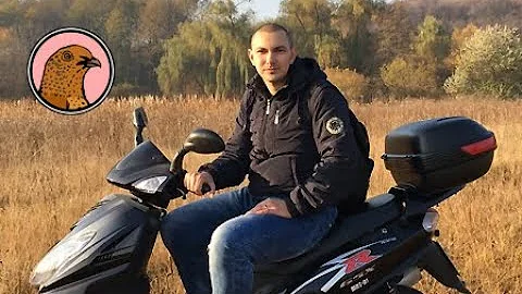 ГДЕ КУПИТЬ ИЛИ ЧЕМ ЗАМЕНИТЬ СОЕВЫЙ ШРОТ?