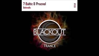 Download Lagu 7 Baltic \u0026 Prucnel - Animals (Original Mix) MP3