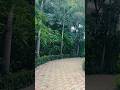 Visiting A Very Beautiful Garden In New York #nature #relaxingmusic #music #relax  #naturesounds