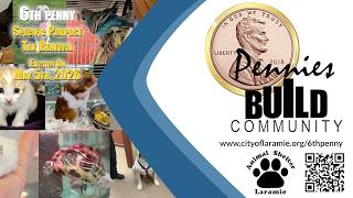 6th Penny Feature: The Laramie Animal Shelter