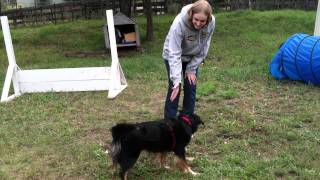 Nika's 10 part behavior chain