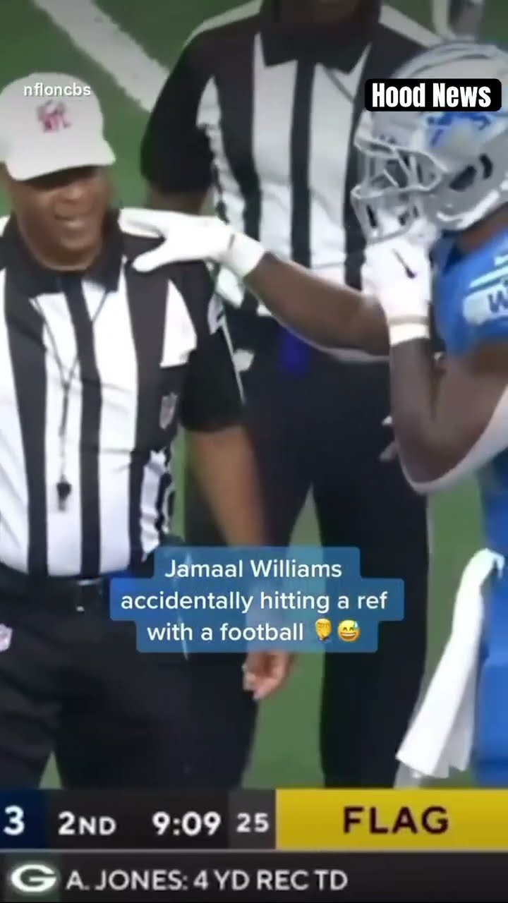 The other ref was heated ? #hoodnews #referee #jamaalwilliams #lions #firetherefs #omg #football