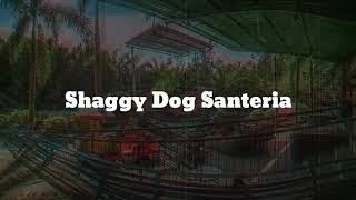 Story WA Shaggy Dog Santeria