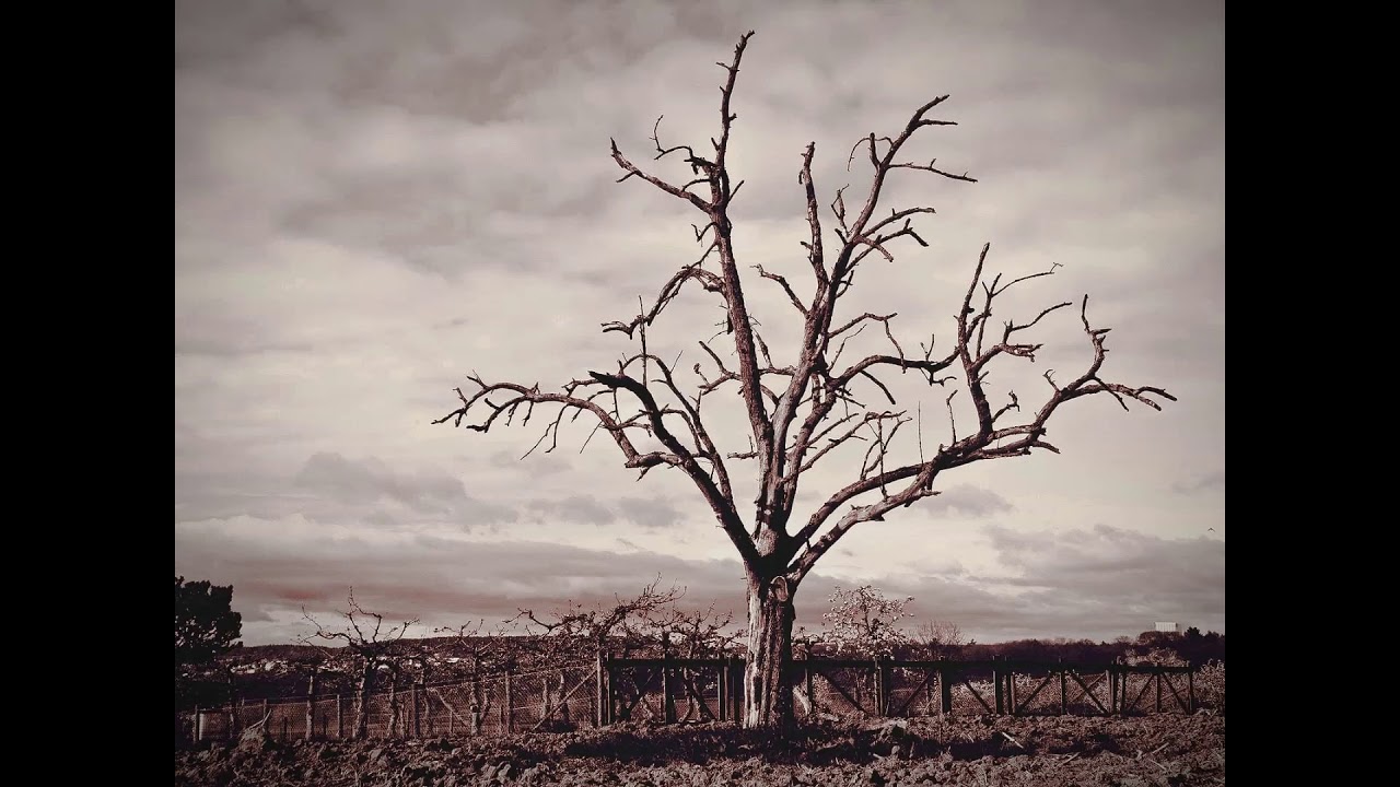 Παρακολούθηση Dead Nature - Ζωή επί θάνατον στο YouTube Παρακολούθηση Dead Nature - Ζωή επί θάνατον στο YouTube