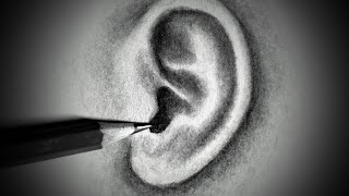 Realistic Ear Drawing Timelapse Tutorial In 2 Minutes
