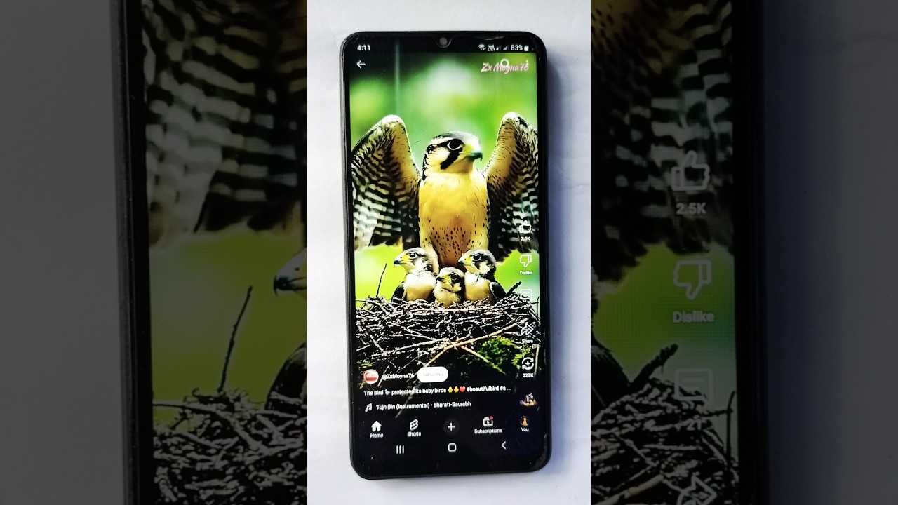 Mother brid | animition | short magic video|