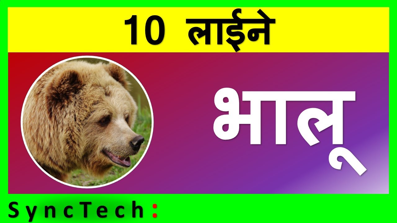 10 lines on Bear in Hindi | Few lines about Bear - YouTube