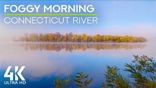 Nehir Kenarında Sisli Bir Sabahın Doğa Sesleri - Sonbahar Ambiyansı Ve Sonbahar Yeşillik Renkleri