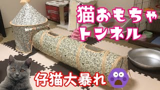 【猫用おもちゃ】猫用トンネルで大暴れする仔猫！